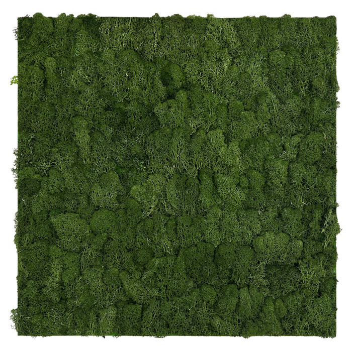 Jangal Modular Wall mospanel 52 x 52 cm - Dark Green